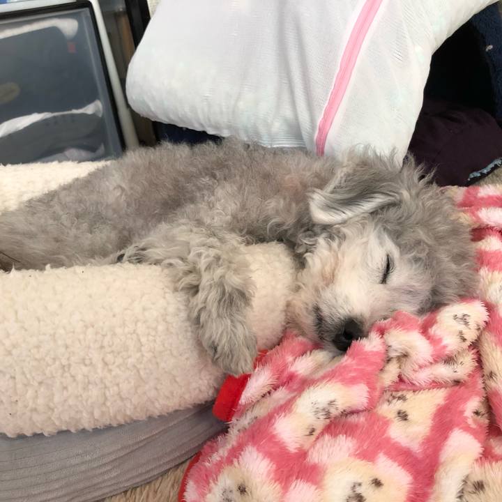 51969a71 3322 41c5 b224 219146e3fd5e 1586329517188