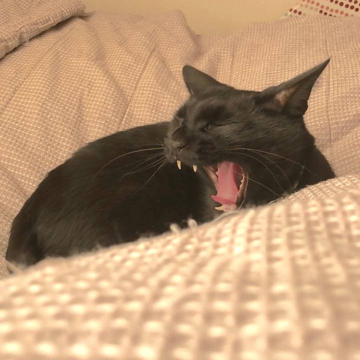 5196cd8b f375 4b21 a8f7 cc2ac5cb92bf 1512257763135