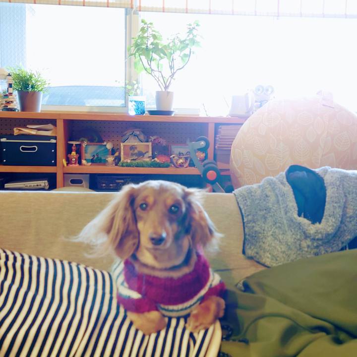 5196dd5b f3d0 4d54 8eb8 4286f2750e22 1641695294614