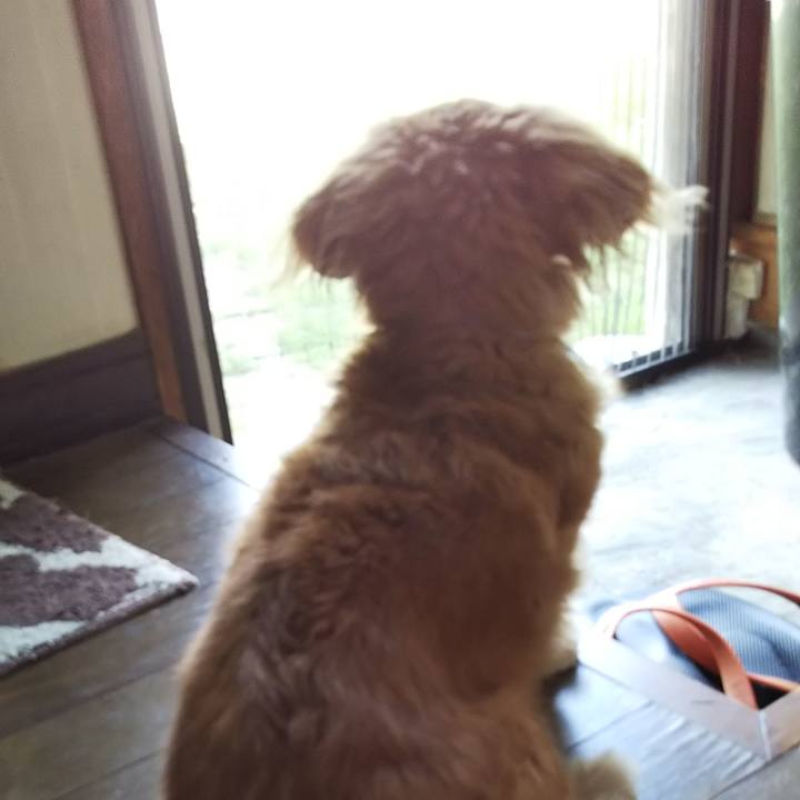 5196e187 113d 4f88 bcac f8005de9c933 1570242179281