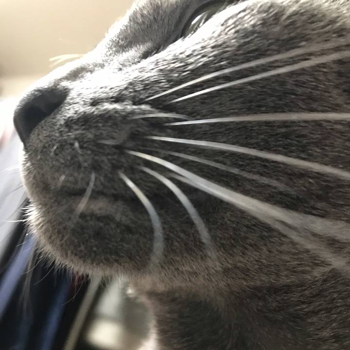 51971006 949f 492b bc4b 465ff3567af7 1556358993887