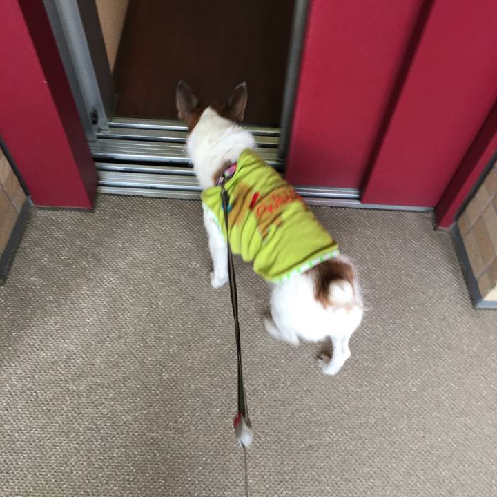 51972134 281d 47aa 948a 9ef3380e7a94 1657063598032