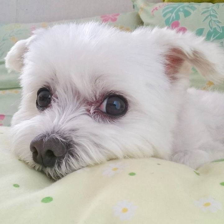 51975dc5 830d 4d5d 874a 471f7021a82a 1527853057490