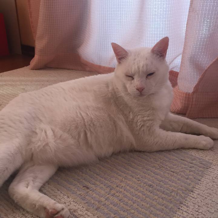 5197a375 5ae8 444a 89d6 da1d31eb4fb5 1529882887512