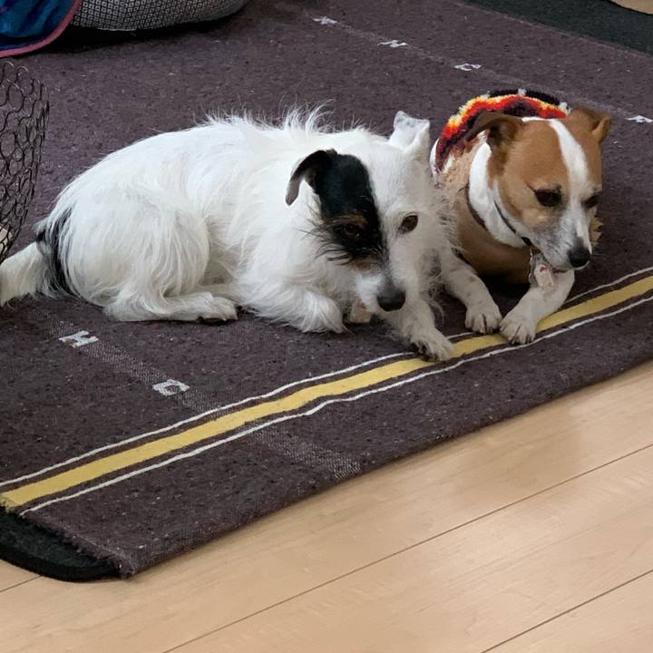 5197b1cf e6f2 4e02 a7e5 ded33d5211e4 1612741341440