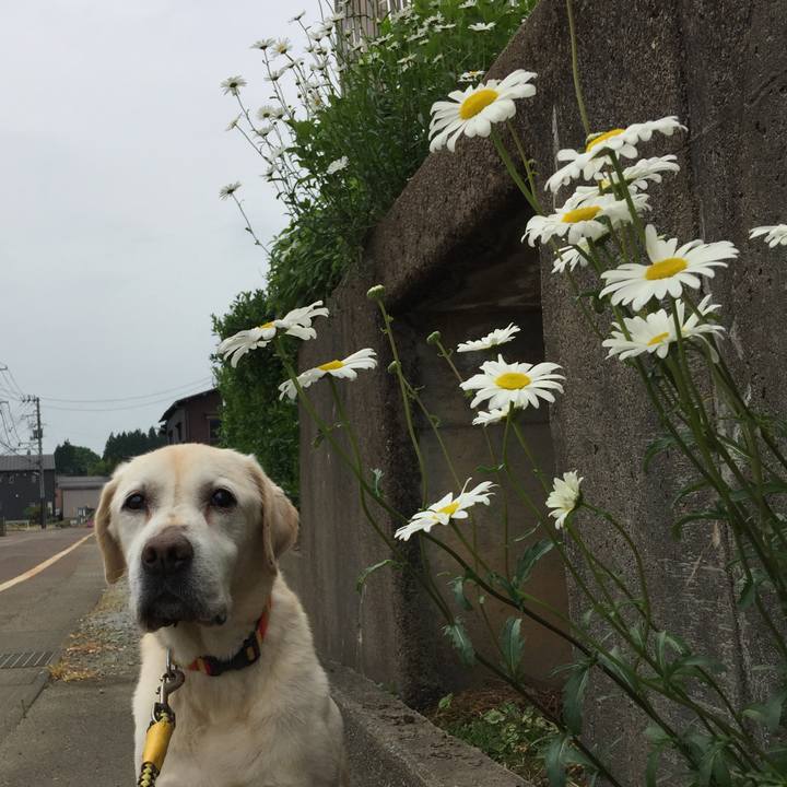 5197b561 1d9b 48ab 8b23 f954352464af 1526300789844