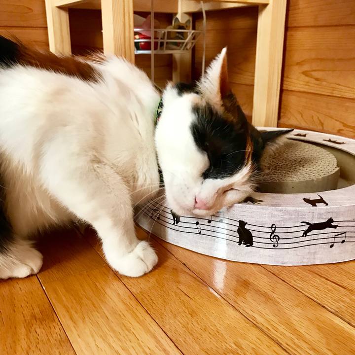 5197e9f6 ee6f 4ea7 9c08 b5c19f154849 1524100498810