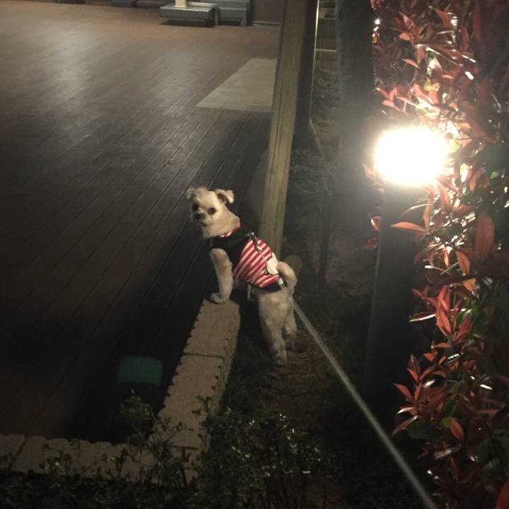 519840c6 b7d2 4d7a 9ef9 e7937b11e64d 1522668505901