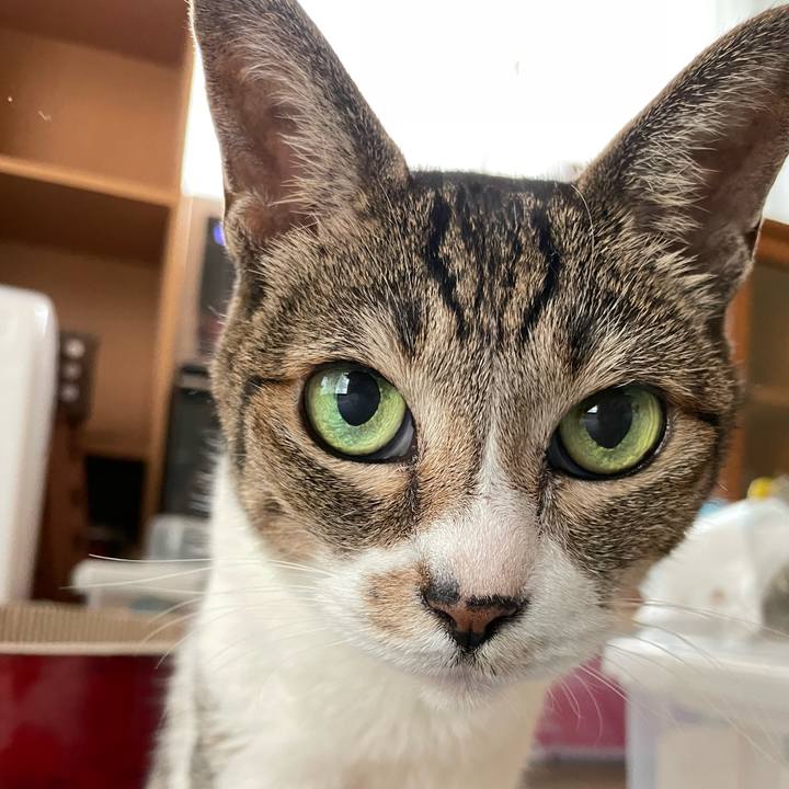 51987441 d912 41b6 9317 c965e4ba7ae5 1636509517472