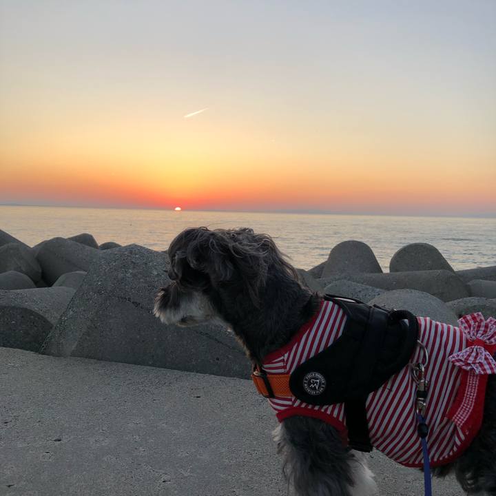 5198abff d795 4198 869d 87a6c0c05971 1699273347627