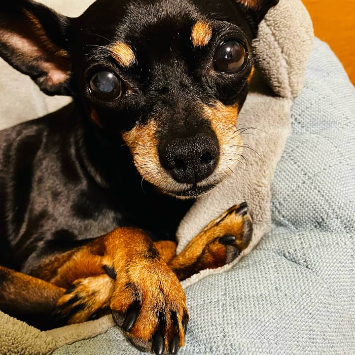 5198b628 b5f5 4b54 b7f1 86e7cfd20d25 1765282812217