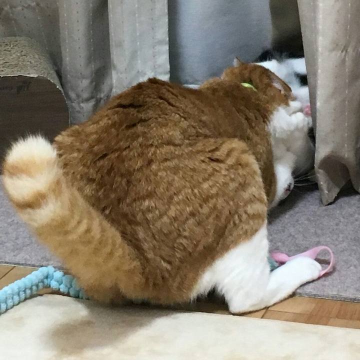 5198d965 a1d3 4088 8247 5795140343b5 1510277759017