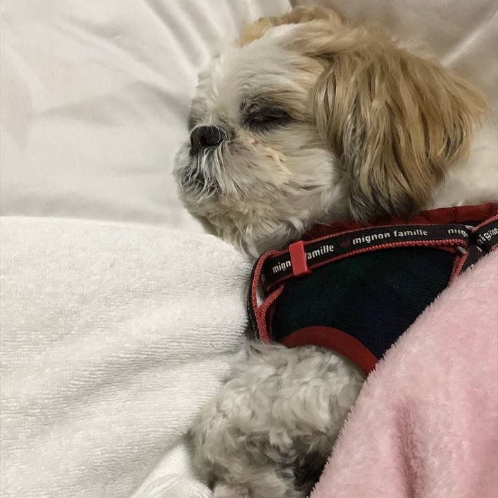 5198e827 1794 446a ad01 7ed1db6ec8cf 1605736718489