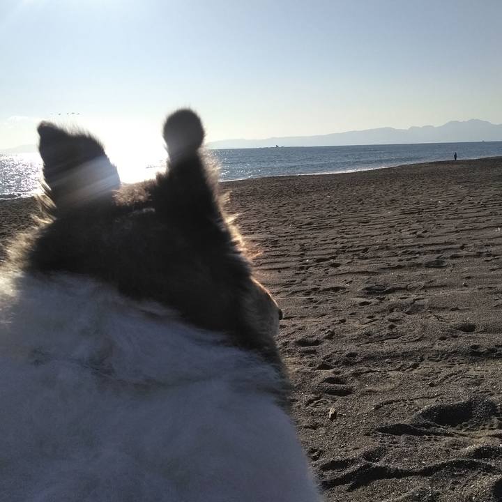 5198ecdf 651d 4333 86a1 7d4229f95026 1515851767592