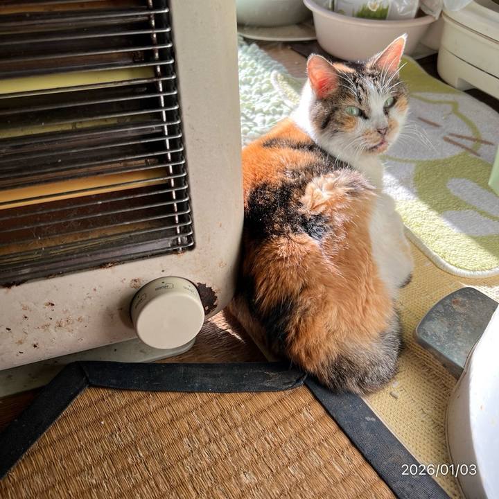 5199adc0 6605 4313 b096 0ddc7a7fc50b 1767398521020