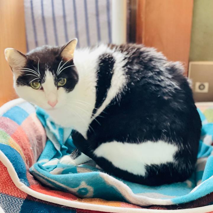 5199c941 6500 4280 81bc 96aa098b6b69 1603850425919