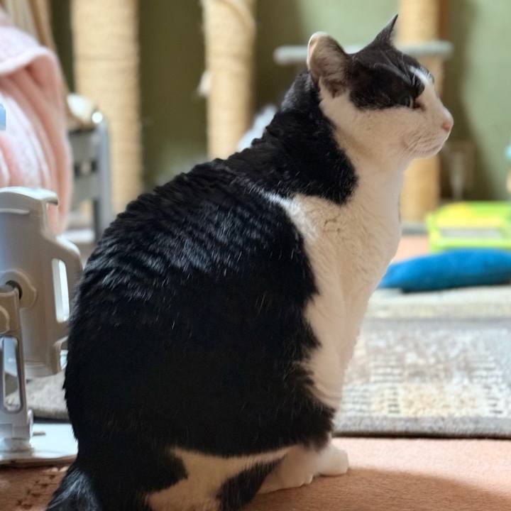 5199ef6b 6462 444c 98d3 21f95e3327fb 1743736878693