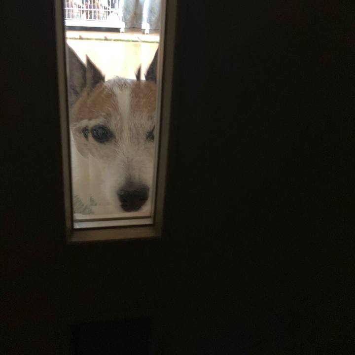 5199f85d 29c3 428c 888c 81d00bff9a5b 1679527326906