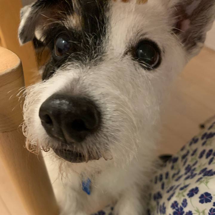 519a4913 1ccf 480e 8951 c08ab7f3040b 1726568650593