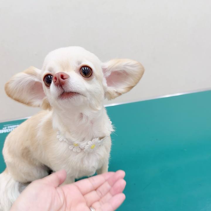 519a9eca ea9e 4de2 a66a cc841b11f6ce 1685151302206