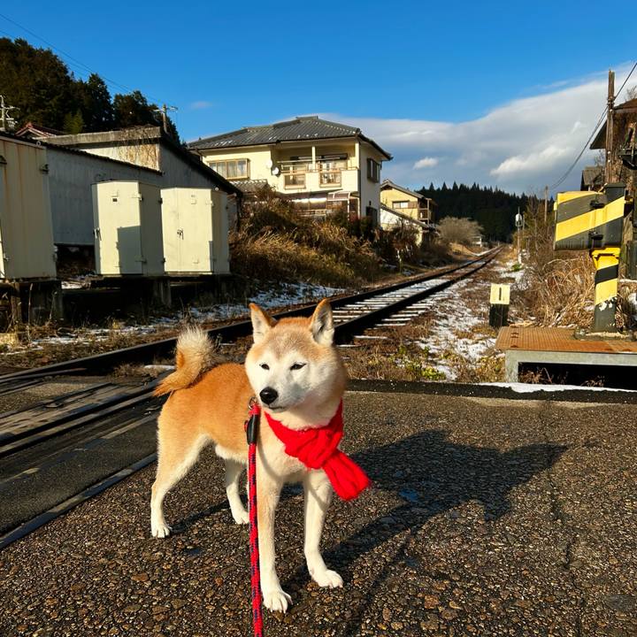 519aa130 ca1d 4d02 83ac f535d1409d0d 1768301875196