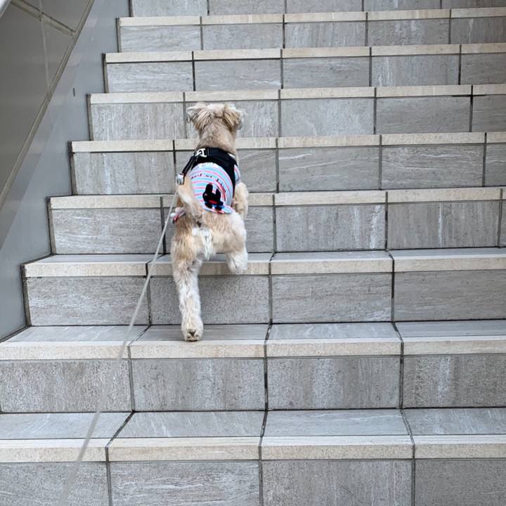 519aa2fd 63ff 4faa 80ca b0372fc740bd 1551787064939