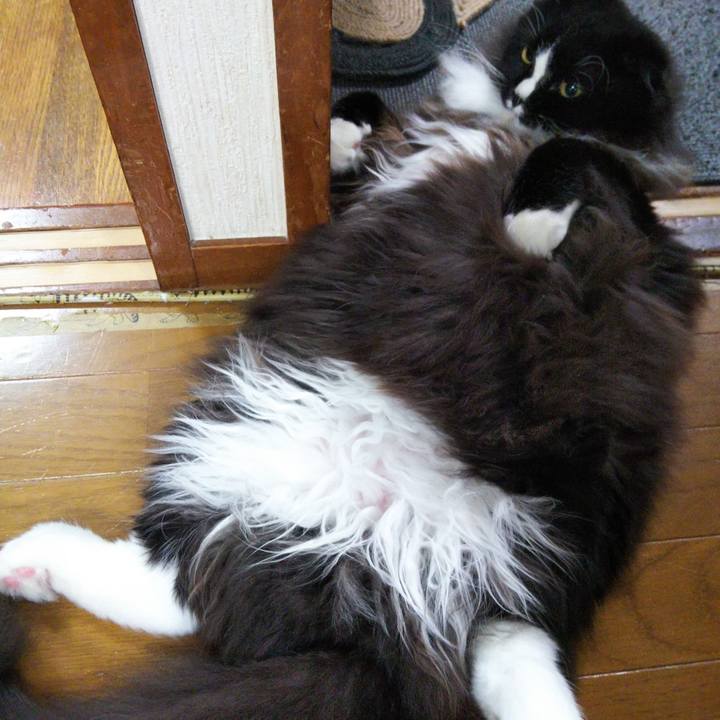 519adc7a 5a65 4ef8 bfd8 3f57412c0585 1655814413739