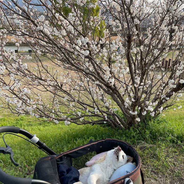 519af104 b8cc 42fc 992e bbd23e5714aa 1678457080418