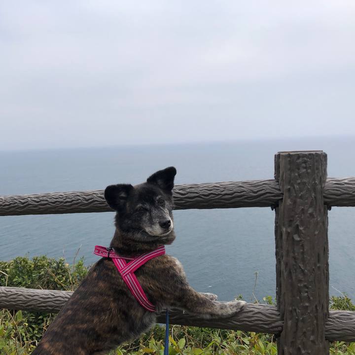 519af27a dfad 41a4 bfc7 1bfeef0fc45e 1650120997916