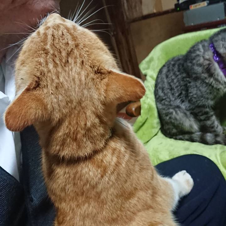 519afbd8 c69a 4379 8e89 4a37b8c4dac0 1582275751383