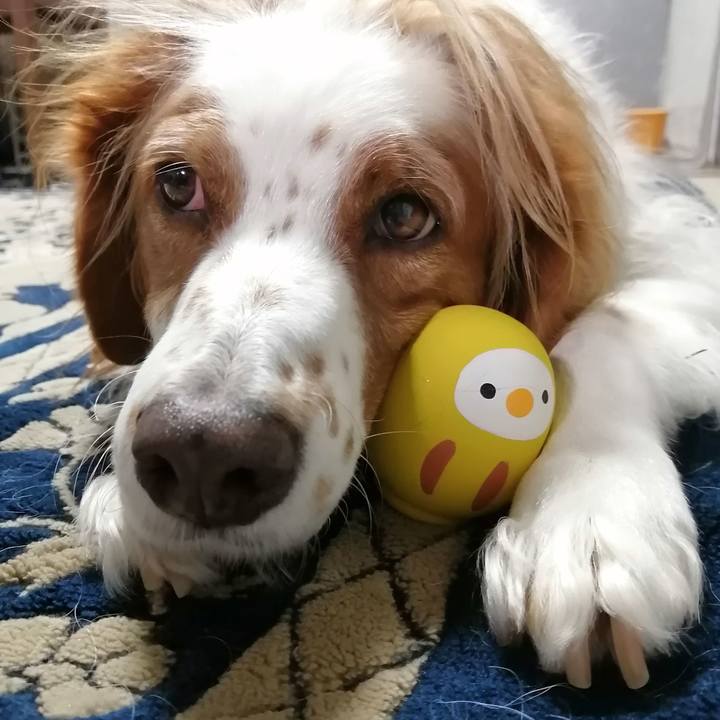 519b1890 6773 409e 8c48 2095d96ce980 1605441706017