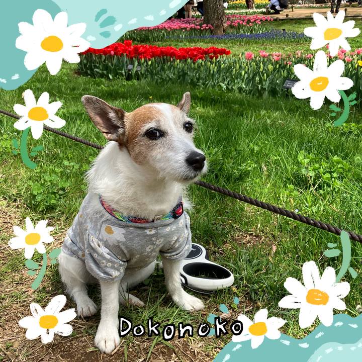 519b4a9e bdc2 45fc b0ea 6cf8b57c8425 1712618554642