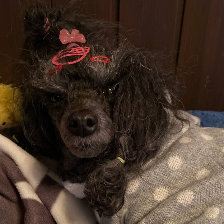 519b60da 38d9 4c29 92de 7b71c903888e 1705715336589