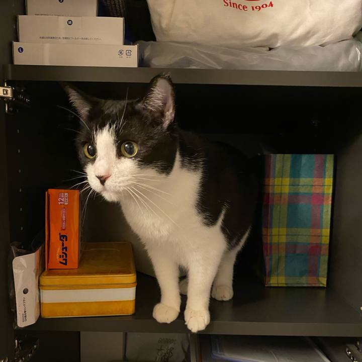 519b83df b2ea 46a7 ac61 bc7574589454 1722429805821