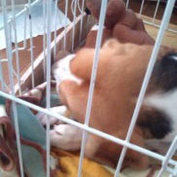 519bf6a6 a894 47cb ab7e 54c8356b5881 1697421421025