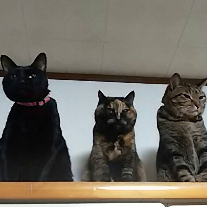 519bf8a3 dc88 4950 af0e 89727069e4ee 1517749758028