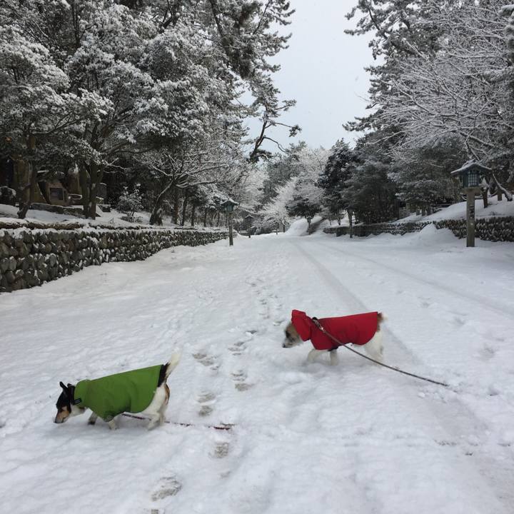 519bf9ea 34f8 4f9c b2fc c410cd7955f6 1519260905957