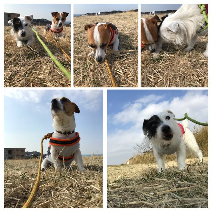 519c123b 41d1 4b37 bf03 f3f66959e9bc 1519695002996