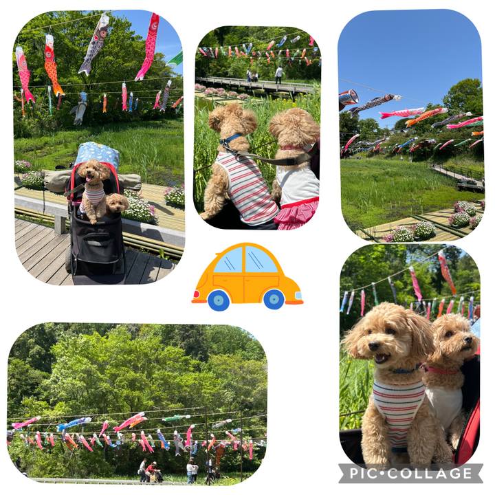 519c235e f665 4004 82a2 8a914a3d97bc 1745743134300