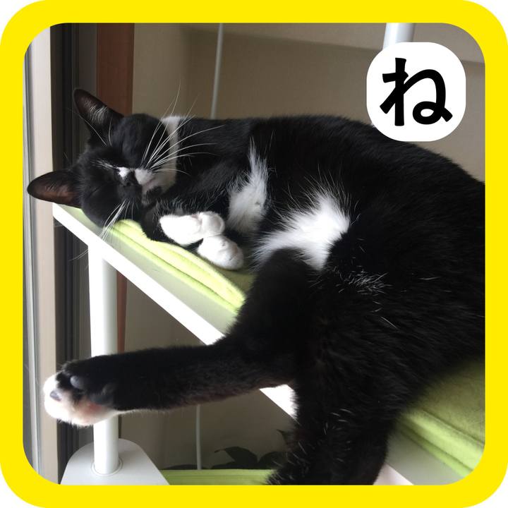 519c265a 5bd6 4e51 88c1 2c3617565f3e 1514772472691