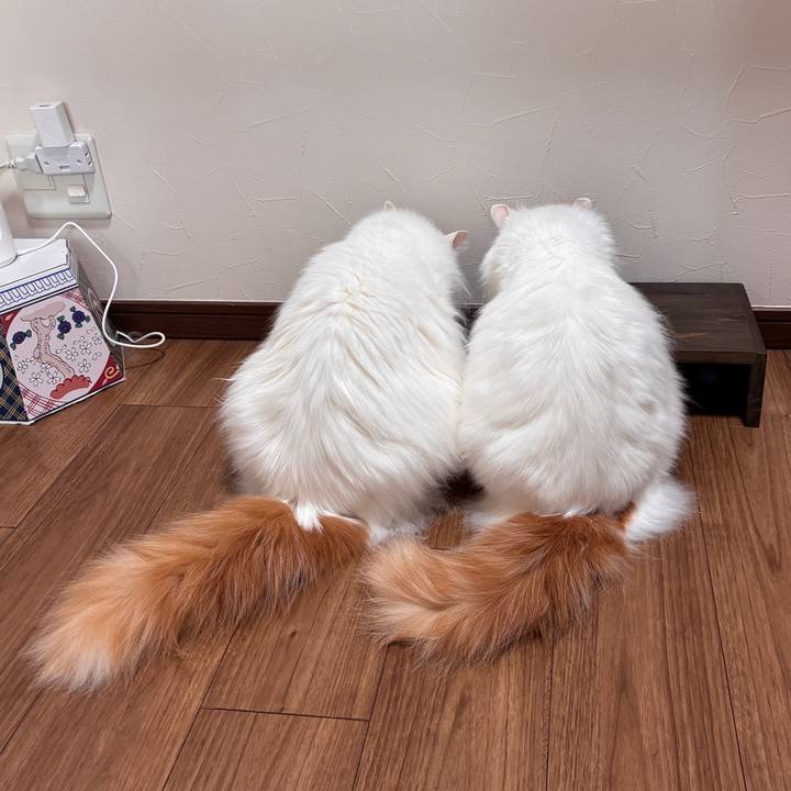 519c3547 1112 4072 9f1d 2ff5e7ae33e7 1775969594315