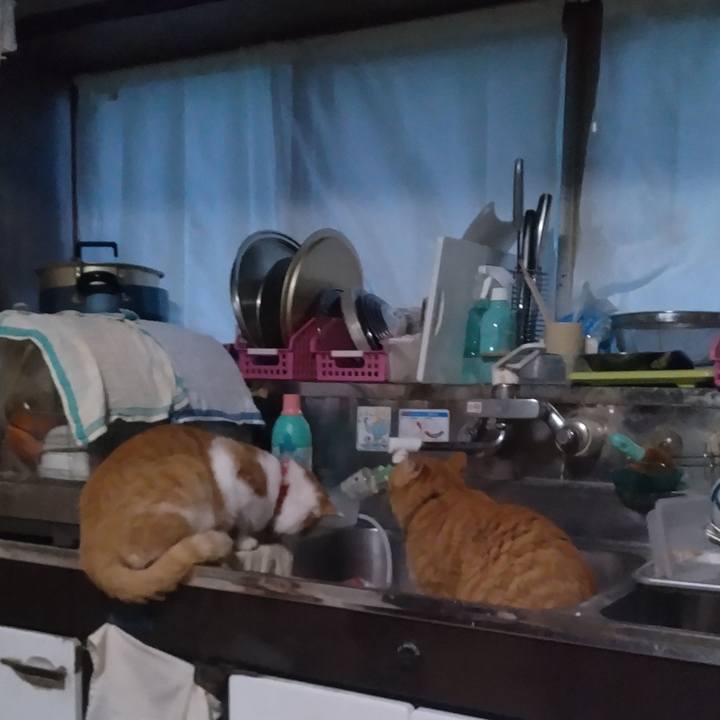 519c4b77 a251 4cb4 9b28 e21330e0bff2 1762729186041