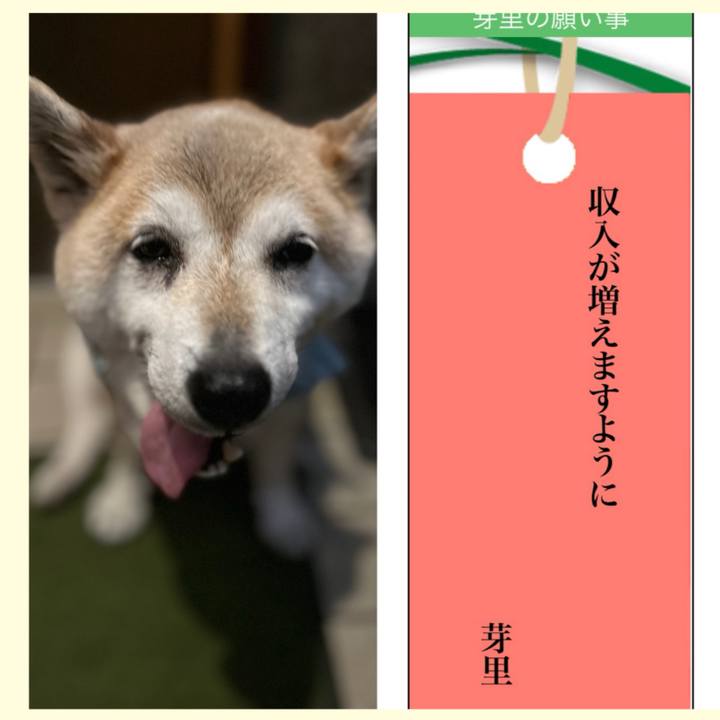 519c914a bf78 4385 a62c e976518bf850 1751848647983