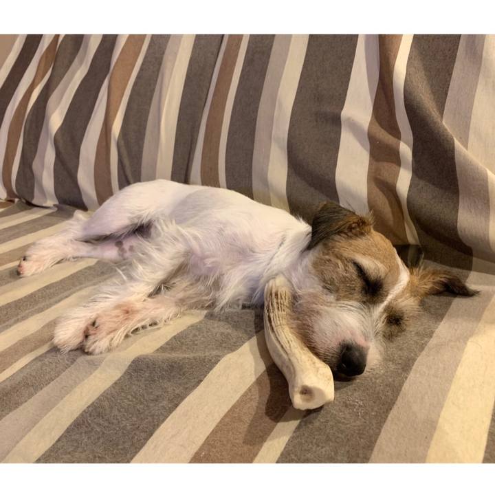 519cb463 10ef 4713 ac9a 4f223419b3a5 1594907067302