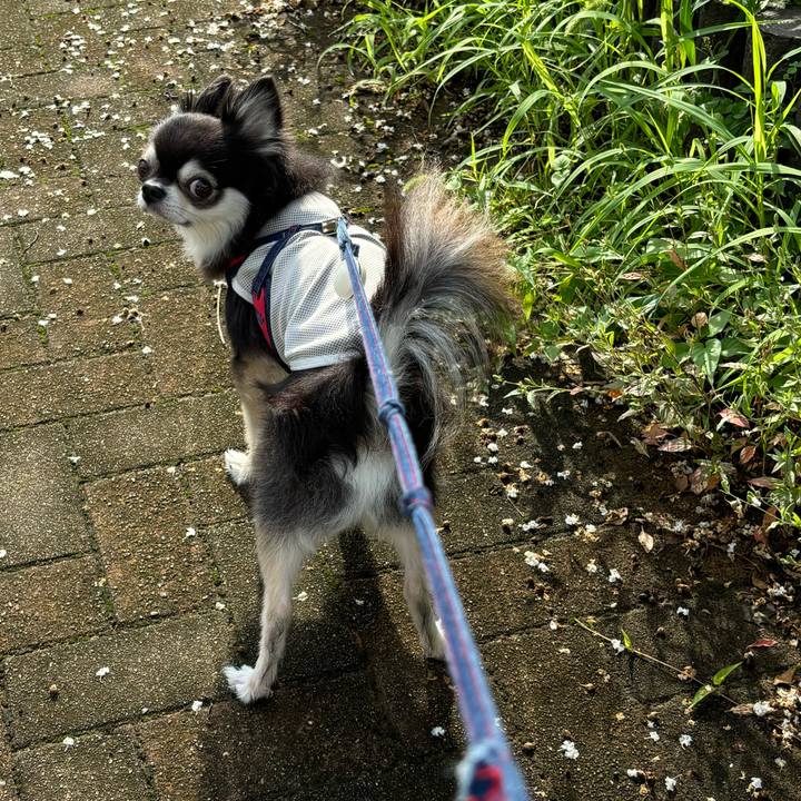 519cc21c 2b7a 4dd8 b3a2 81b5e5531789 1720367131398