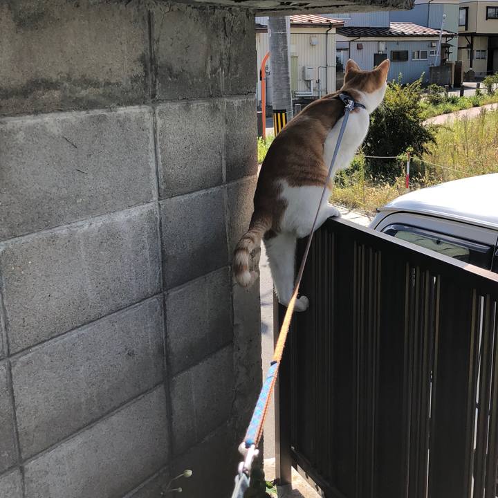 519cdcd1 f0d7 4d52 b8ef 215f24a57248 1538454427638