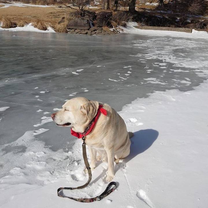 519d0e43 b264 4c07 8d31 c5501a4823f9 1768815191907