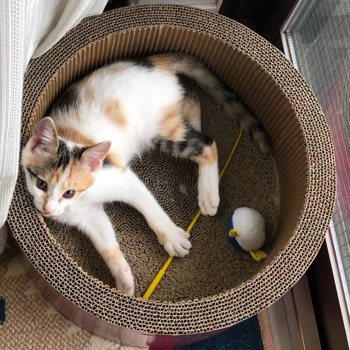 519d2328 9b32 44d0 abf8 4c130791efaf 1563320111990