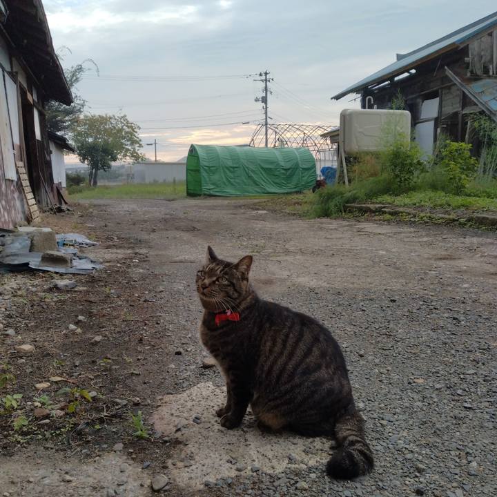 519d76db a2b8 4fee 9f63 cb7337ecc61d 1664145332569