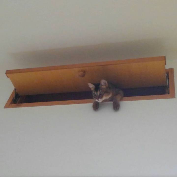 519dd2be c62f 48b0 ab55 514a0d12ff0f 1564289497663